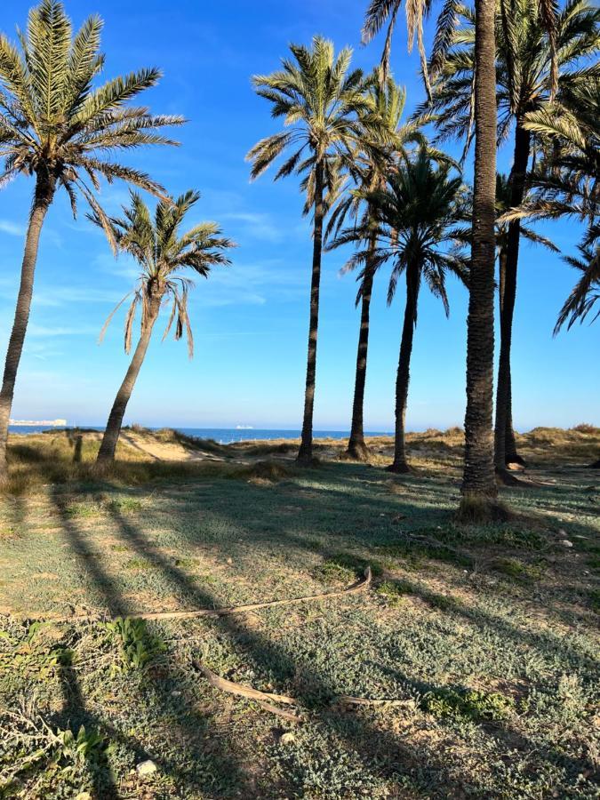 Gound Floor Bungalow Jumilla III Playa Flamenca Dehesa de Campoamor  Esterno foto